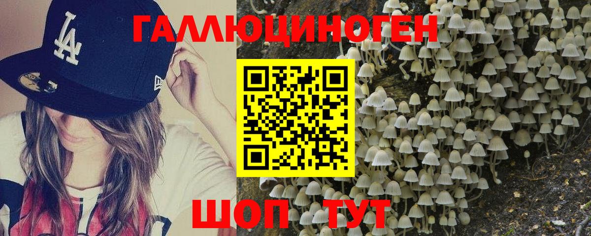 Галлюциногенные грибы ЛСД  Вход с VPN  Белово 